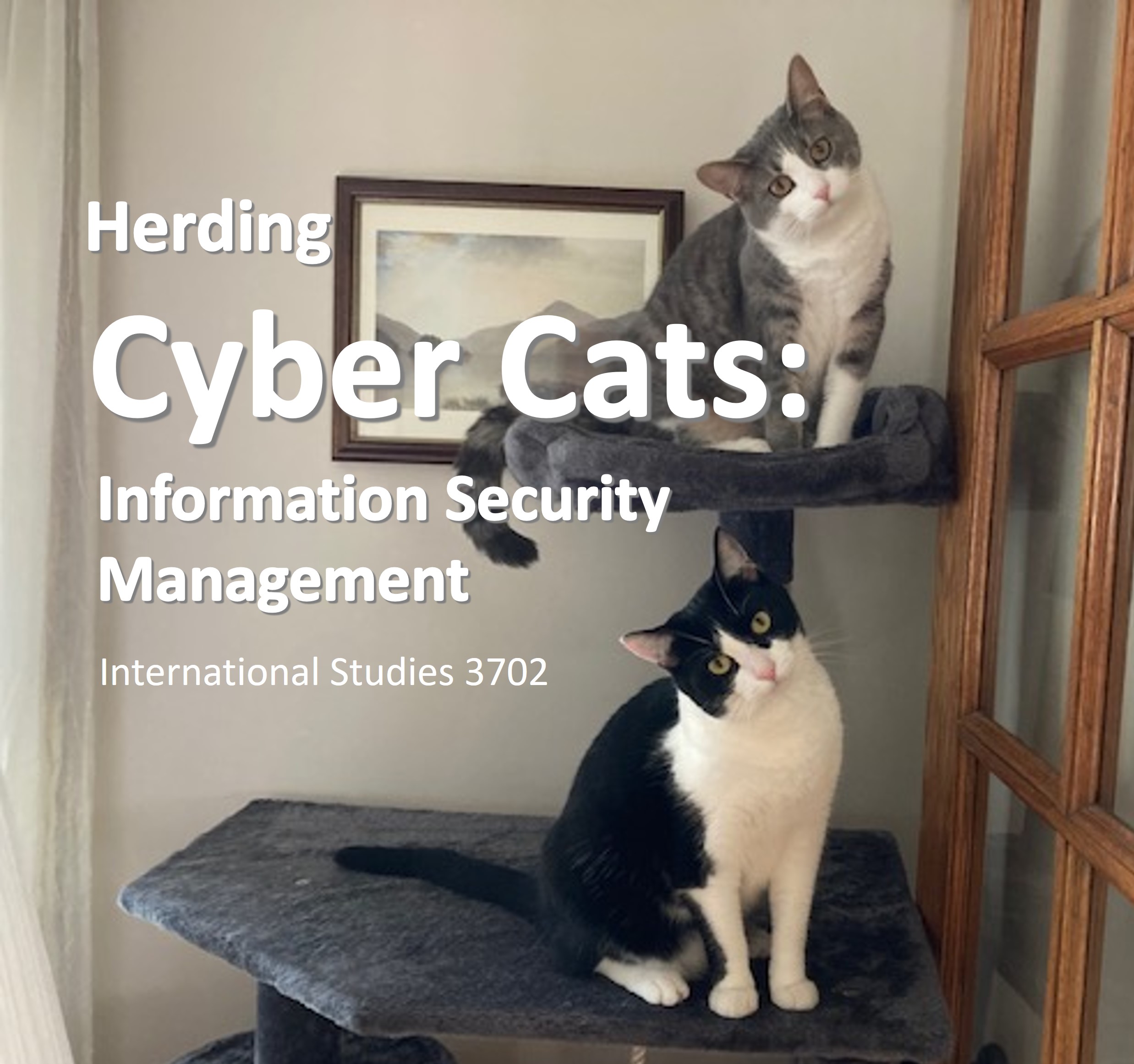 Herding Cyber Cats Information Security Management International Studies